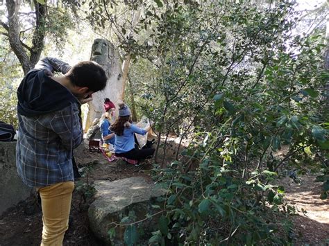 El Bosque Encantado de Orrius, Barcelona: cómo llegar,…